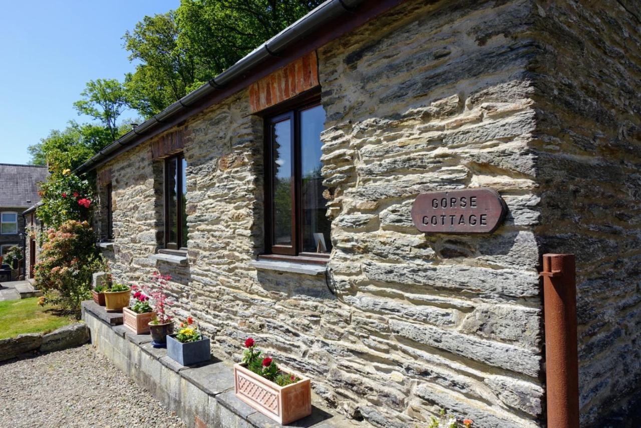 קרדיגן Troedyrhiw Holiday Cottages מראה חיצוני תמונה