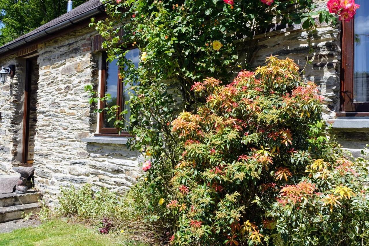 קרדיגן Troedyrhiw Holiday Cottages מראה חיצוני תמונה